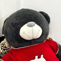 عروسک|اسباب‌‌بازی|تهران, شهرک طالقانی|دیوار