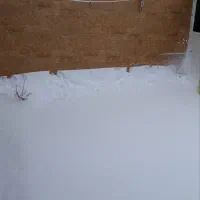 پیشه ومهارت