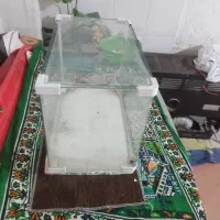 اکواریم|ماهی|شیراز, کفترک|دیوار