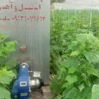 سازه فلزی گلخانه|ماشین‌آلات صنعتی|پیر بکران, |دیوار