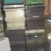 کندو در حد نو