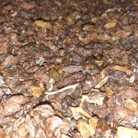 فروش انواع کشمش آفتابی و دودی|خوردنی و آشامیدنی|میانه, |دیوار