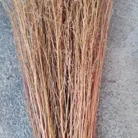 جارو محلی وجارو شهری|لوازم نظافت|بروجرد, |دیوار