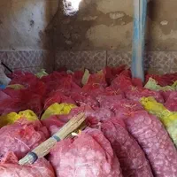 سیر فروشی درجه یک در تور    برای بذری|عمده‌فروشی|شادیان, |دیوار