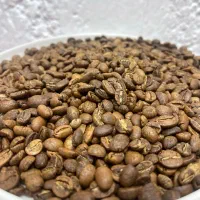 استخدام کافه ، بیمه