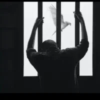 ضمانت دادگاه با فیش حقوقی