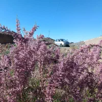 ام وی ام mvm 110 اقتصادی ۲۲۵ میلیون