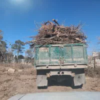 هرس درخت با اره بنزینی خرید چوب