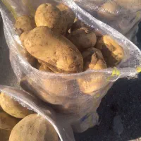 راننده‌ پایه دو وتراکتور، جویای کار