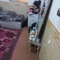 منزل فروشی دستخضر|فروش خانه و ویلا|شیراز, دست خضر|دیوار