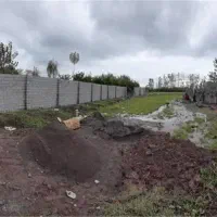 خدامات ساختمانی و بنایی|خدمات پیشه و مهارت|رباط‌کریم, پیغمبر|دیوار