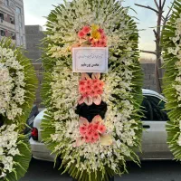 گلکده فروش تخصصی تاج