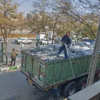 کاتالیزور و اگزوز