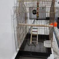 قفس پرنده به همراه وسایل کامل ولانه|لوازم جانبی حیوانات|چناران, |دیوار