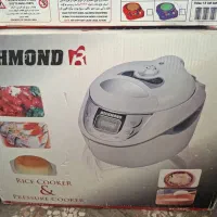 زودپز برقی و پلوپز ریچموند