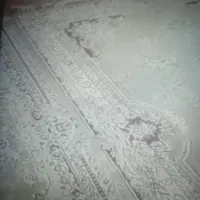 ابو حمیضه|فرش|سوسنگرد, |دیوار