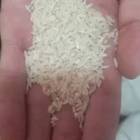 برنج پاکوتاه فجر|خوردنی و آشامیدنی|شباب, |دیوار