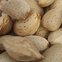 برنج هاشمی، آرد برنج، بادام درختی و حبوبات|خوردنی و آشامیدنی|ساوه, |دیوار