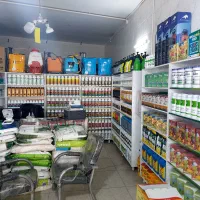 چالکود باغات و مزارع|خدمات باغبانی و درختکاری|قزوین, |دیوار