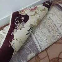 فرش ۵۰۰شانه