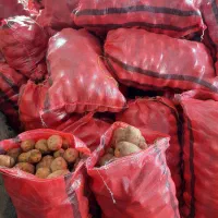 سیب زمینی کارلیا