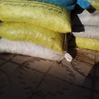 بلوط|حیوانات مزرعه|گچی, |دیوار