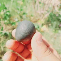 جواهر ارزشمند|کلکسیون اشیاء عتیقه|فین, |دیوار