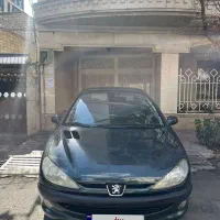 206 1381 تیپ۲ بی رنگ