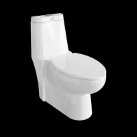 توالت فرنگی چینی کرد مدل طاووس