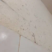 باسلام نیازمند سرویس مدرسه هستم .دخترو پسرم .
