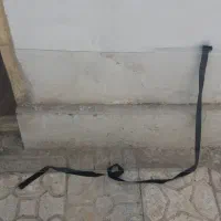 طلق تلویزیون