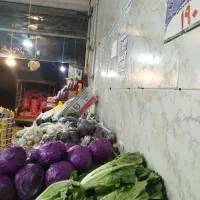 میوه چین ماهر