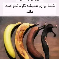 مشورت