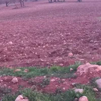 فروش-زمین