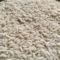 برنج محلی ایرانی