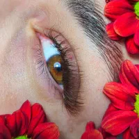 مدل رایگان مژه والیوم