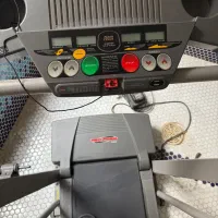 ترد میل امریکایی