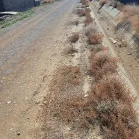 روستای-پلکو-خیابان-اصلی-710متری3پلاک2پروانه