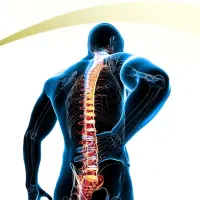 دعوت به همکاری ویژه از فیزیوتراپ های با مدرک دکتری