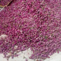 گلاب طبیعی اصل