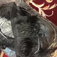نوار ریشه لباس