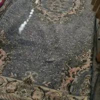 روفرشی و گلیم آشپزخونه و پتو|گلیم، جاجیم، گبه|بیرجند, |دیوار