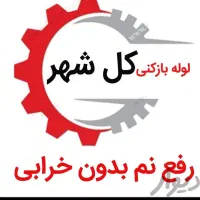 نشت یابی و تشخیص ترکیدگی با دستگاه نقطه زن|خدمات پیشه و مهارت|گرگان, |دیوار