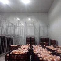 فروش کارخانه/سردخانه/شهرک صنعتی هرسین