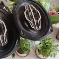 یک جفت باند اصلی 7988|صوتی و تصویری|شیراز, دشت چنار|دیوار