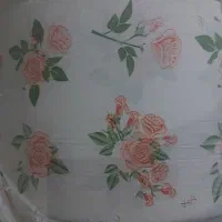 تولید پلاستیکی جات|ظروف نگهدارنده، پلاستیکی، یک‌بارمصرف|شاندیز, |دیوار