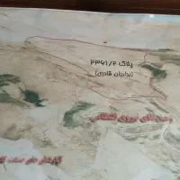 فیش زمین سلامت