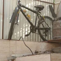 دوچرخه سالم نونو تخفیفم دارد