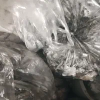 سر ماهی مرکب