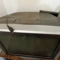 تلویزیون ۲۱ و۲۹ اینچ|تلویزیون و پروژکتور|شیراز, پادگان ولیعصر|دیوار